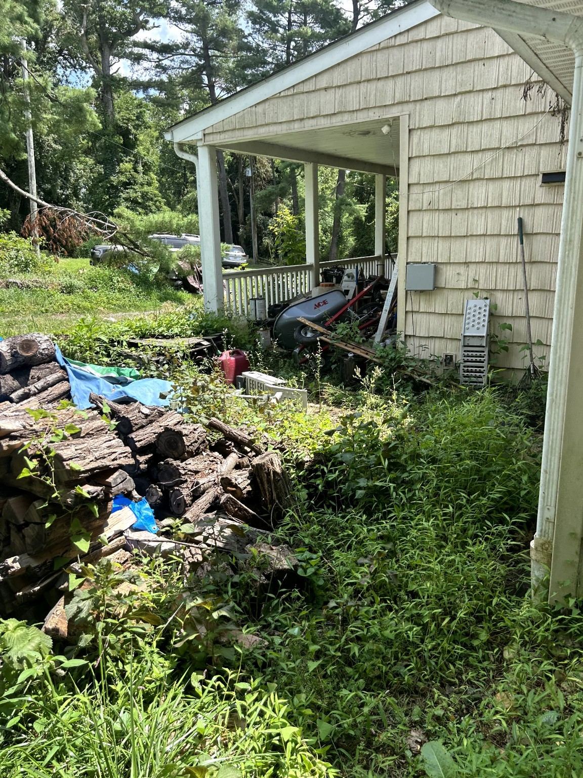 Property before Birds Beware cleanup