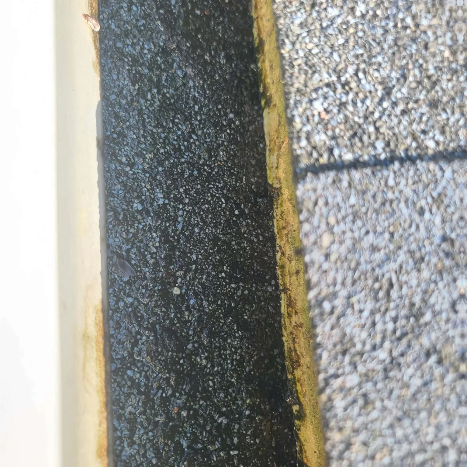 Close-up of gutter edge and roof shingles showing accumulated organic material