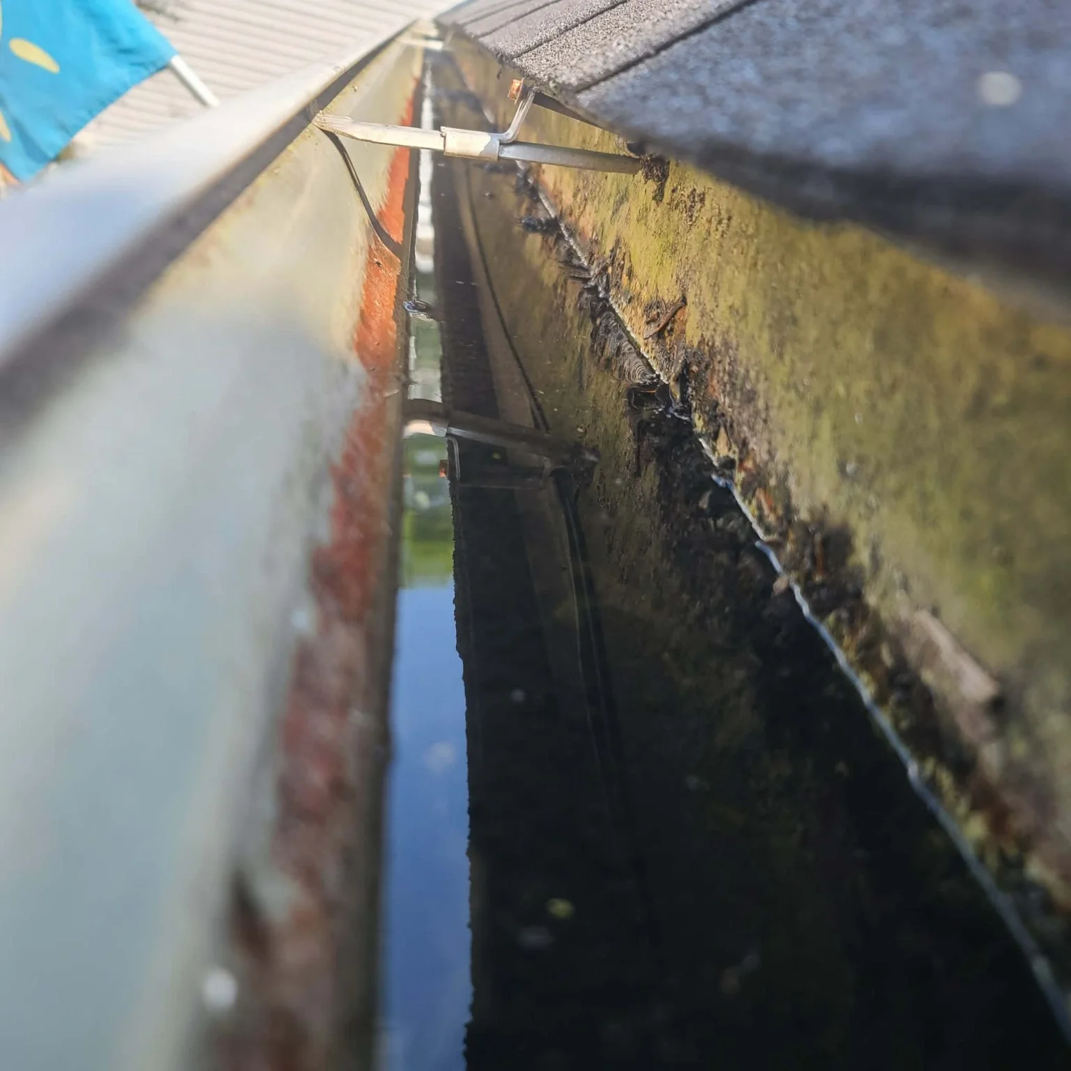 Close view inside a gutter showing buildup and organic staining