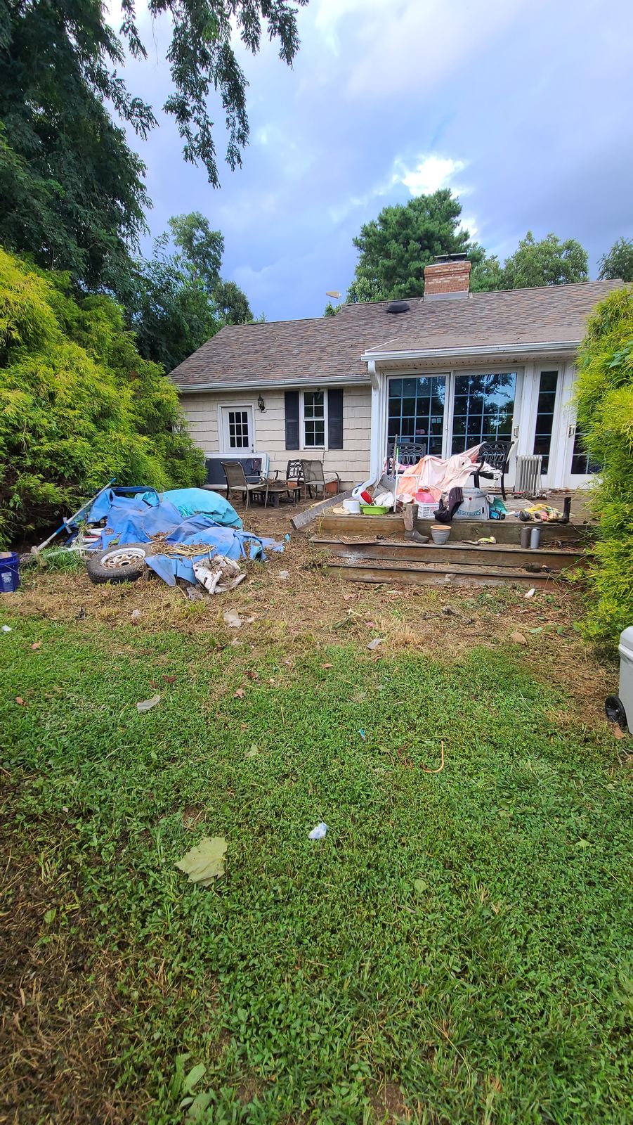 Yard cleanup project