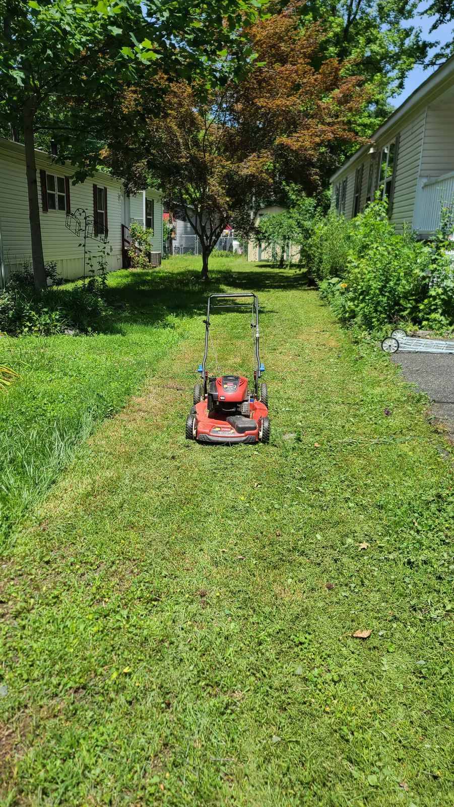 Freshly serviced lawn