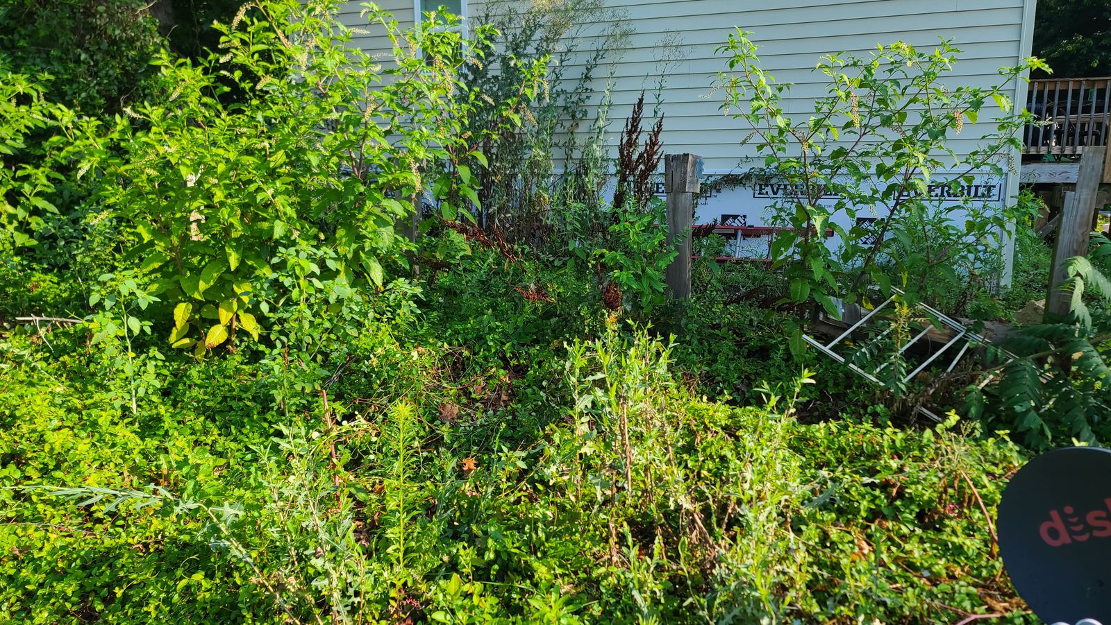 Overgrowth cleanup area