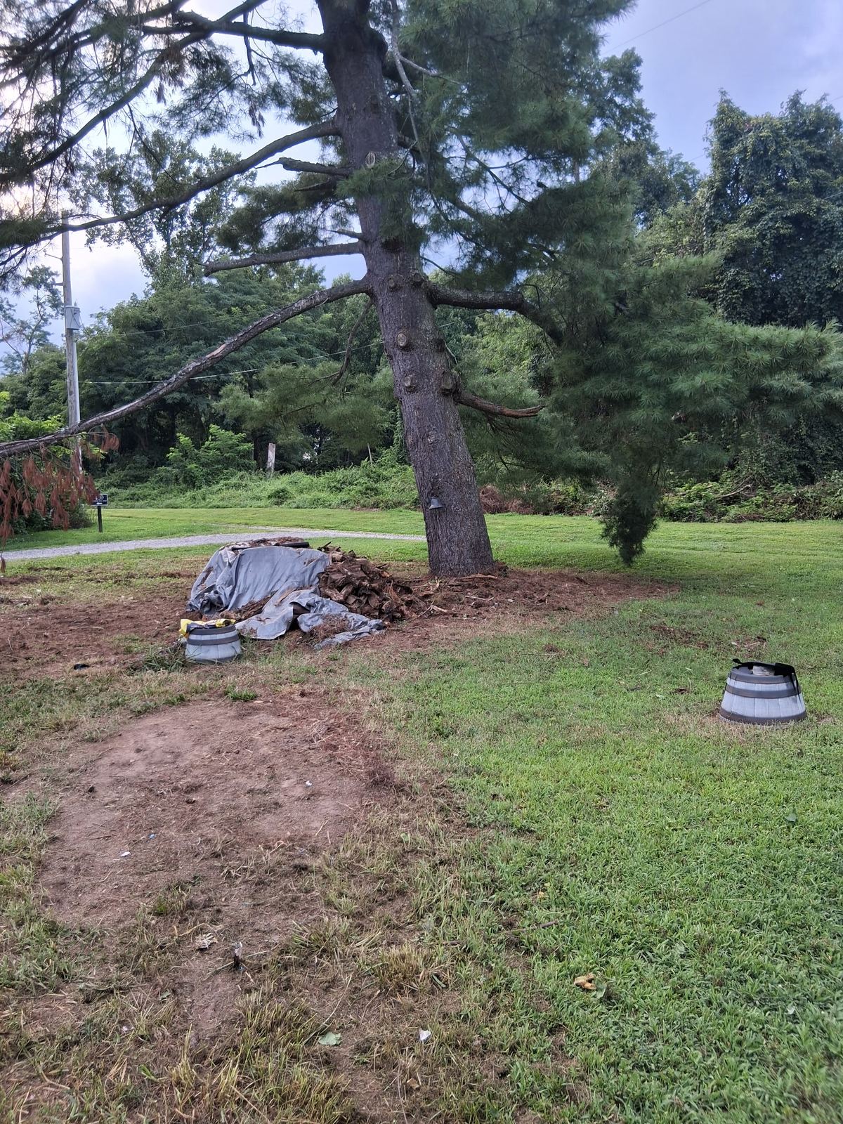 Cleared property area